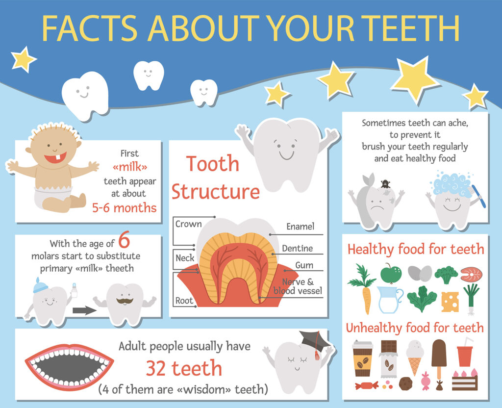 A Fun Dental Care Infographics for Kids Smile Angels of Beverly Hills